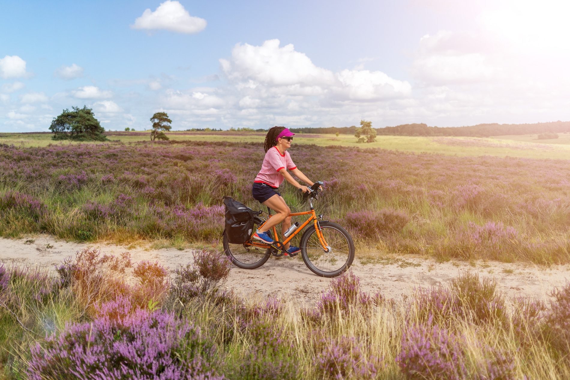 fietsen, augustus, september, heide, Veluwe