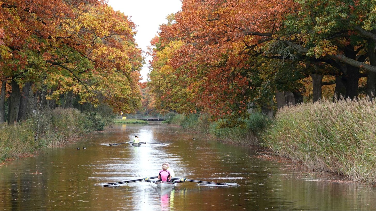 Prachtige herfstdag. Foto: Regina Vastenhout