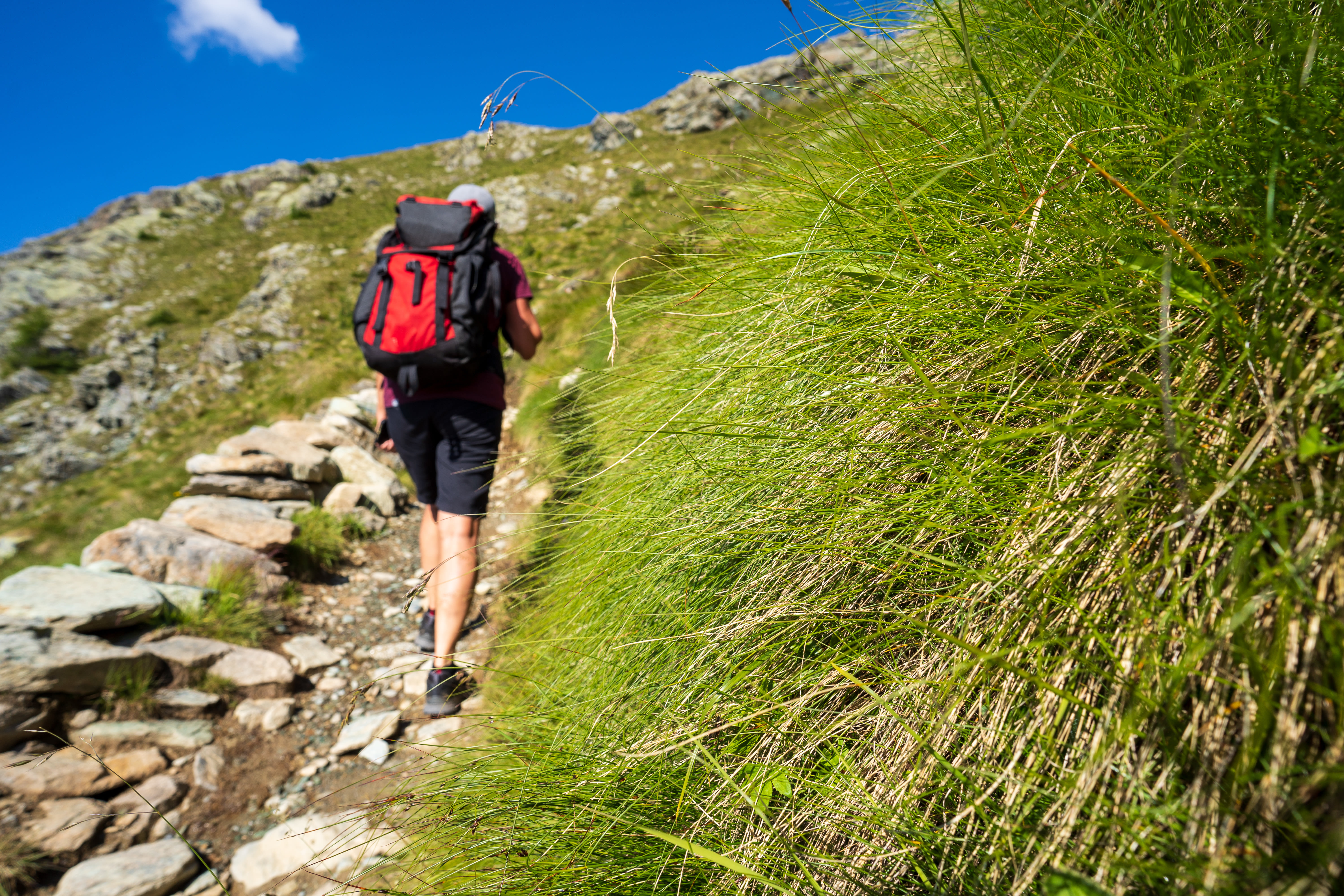 Foto: Adobe Stock / Volker Loche