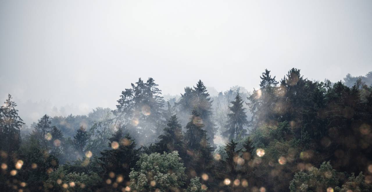 Zo winters verloopt de kerstvakantie