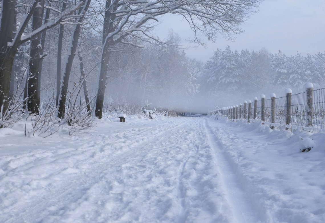 Pak sneeuw tijdens kerst 2010. Foto: Gio van Bernebeek