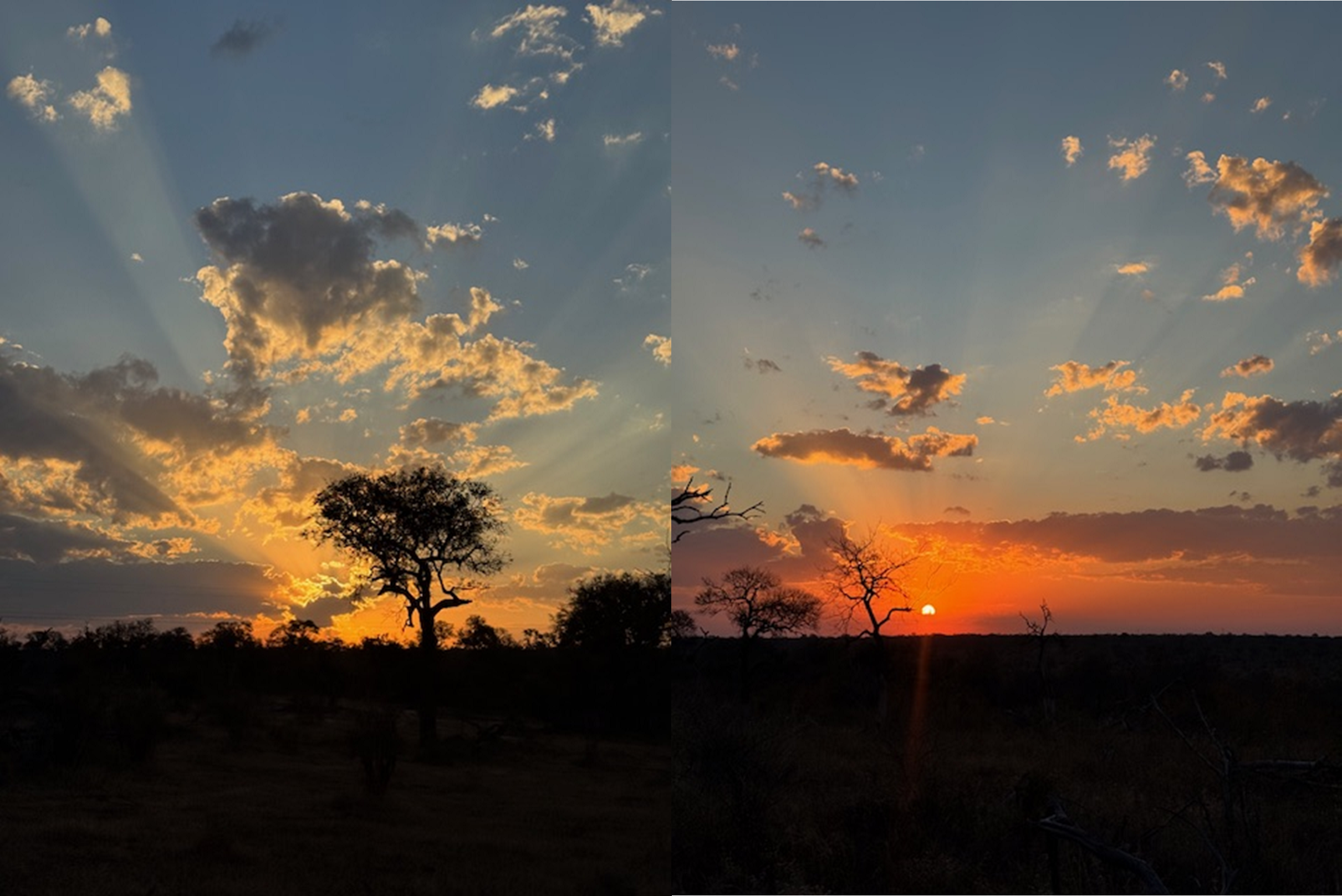 De zonsondergangen in Zuid-Afrika zijn met voorsprong mijn favoriet. Een foto kiezen was erg moeilijk! Foto: Vera Buis.