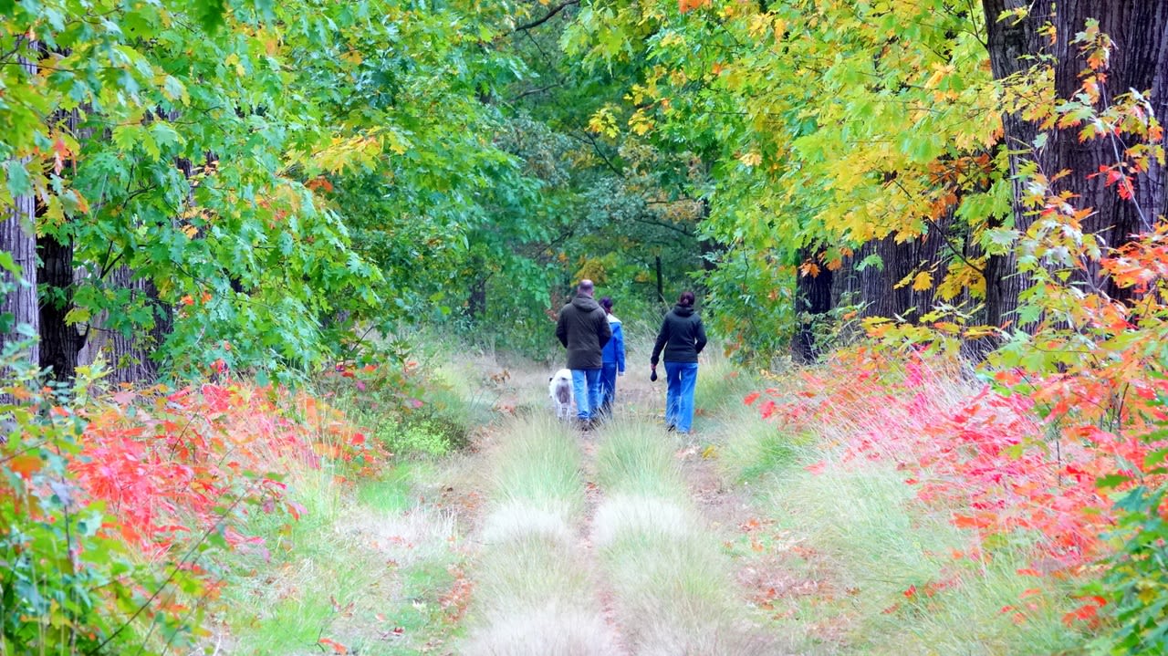 De natuur begint al fraai te verkleuren. Foto: Ben Saanen