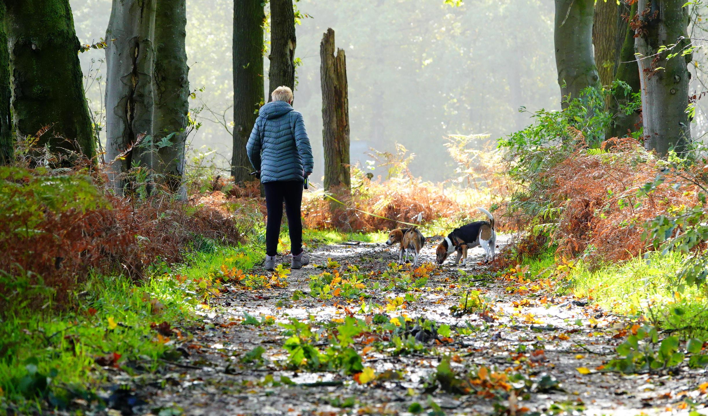 Weekverwachting: overgang naar rustig herfstweer?