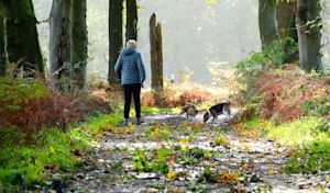 Weekverwachting: overgang naar rustig herfstweer?