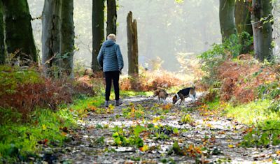 Weekverwachting: overgang naar rustig herfstweer?