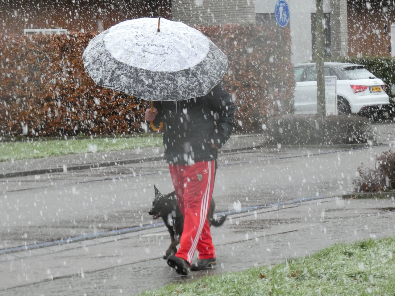 Natte sneeuw in Zeeland. Foto: Eva Vogel