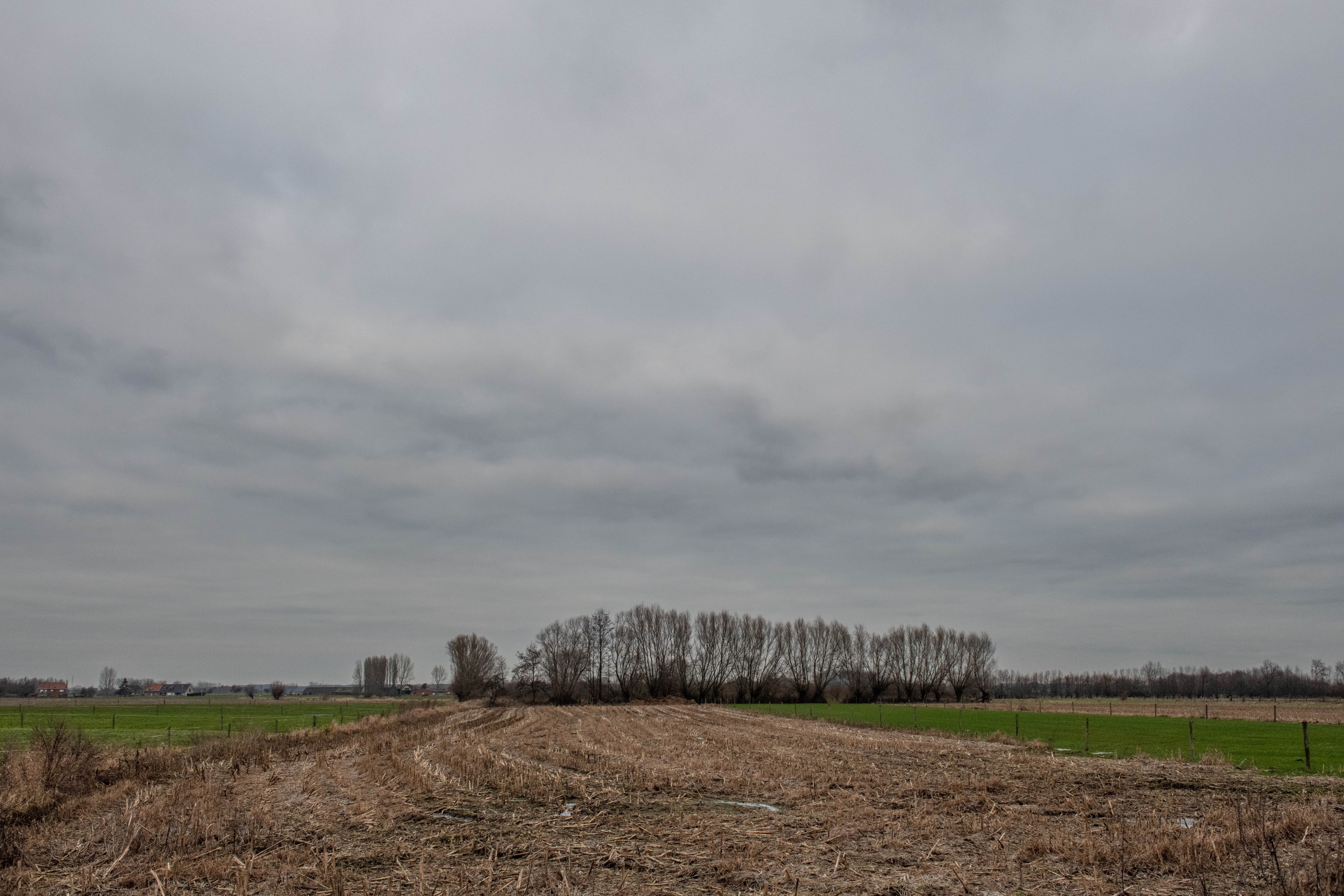 Foto: Marc van Wezemael