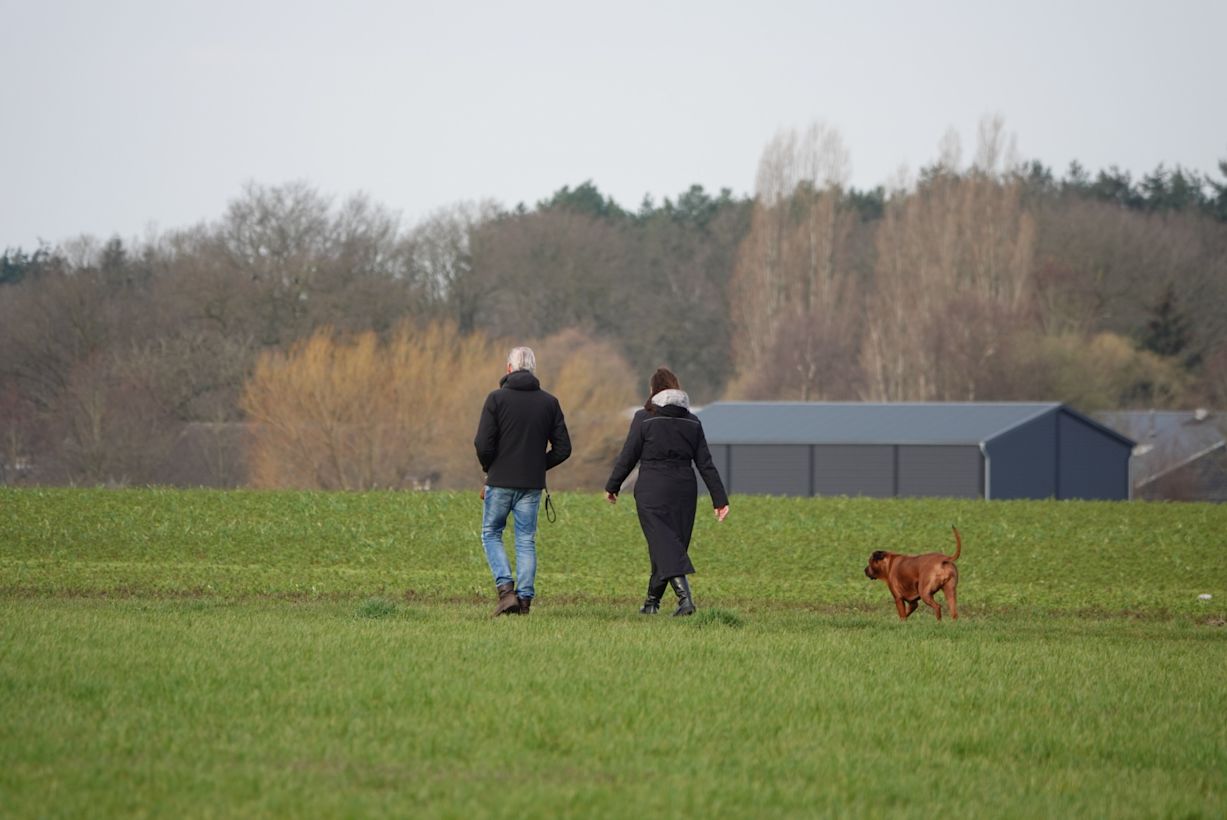 Wandelen op een bewolkte dag. Foto: Willem van Nunen