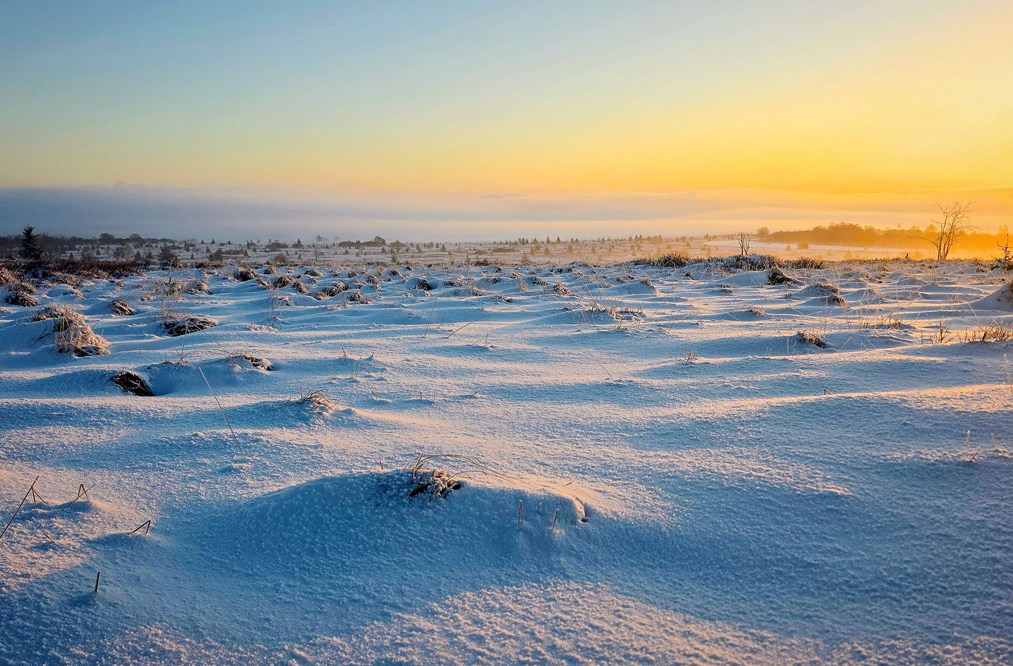 Aan het eind van de maand lag een pak sneeuw in de Ardennen. Foto: Wouter van Bernebeek