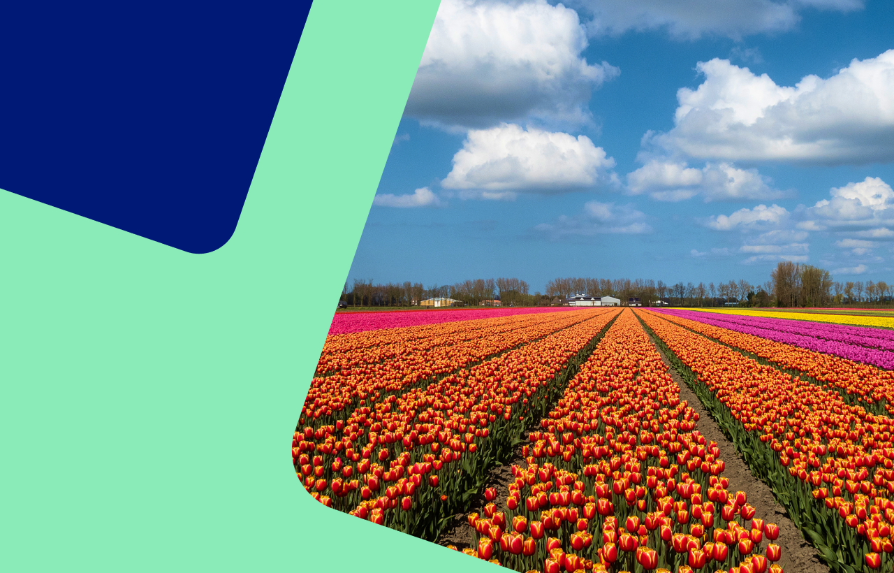 Energieweerbericht: weer gunstig voor gasverbruik?