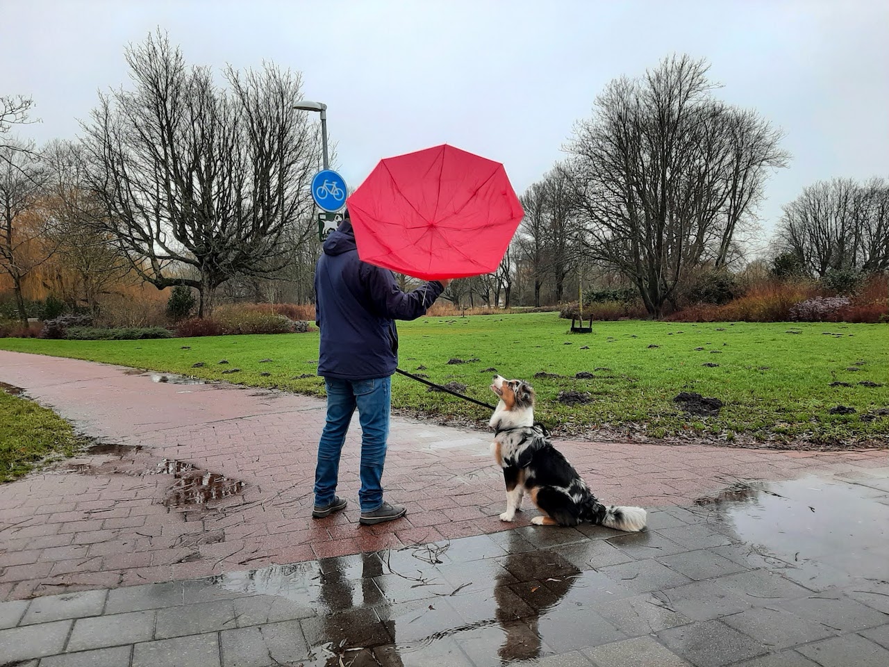 Wind en een paraplu gaan niet altijd goed samen. Foto: Nel van Es