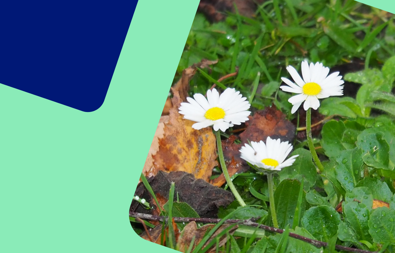 Energieweerbericht: nog steeds erg zacht