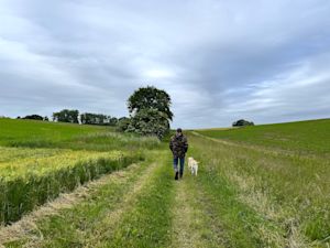 Weekverwachting: koel en wisselvallig, wanneer schijnt de zon?