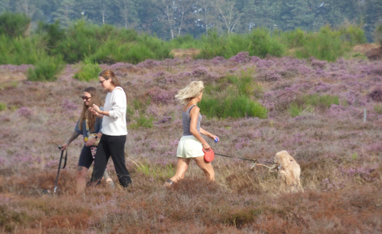 Wandelen op de hei. Foto: Chris Meeuwis.