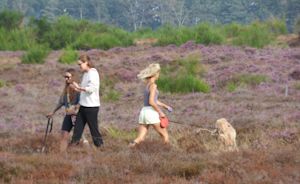 De mooiste wandelroutes voor de nazomer