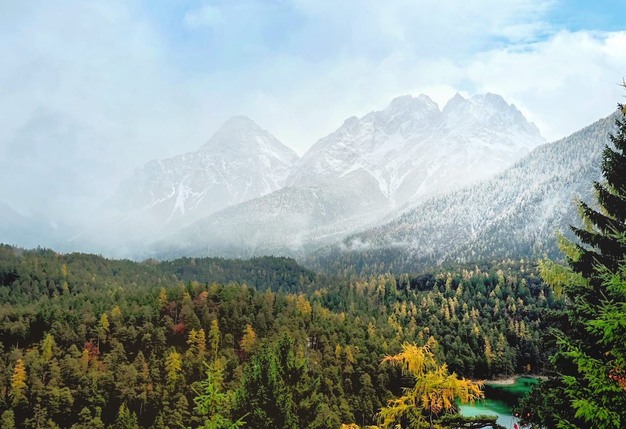 14 daagse torremolinos