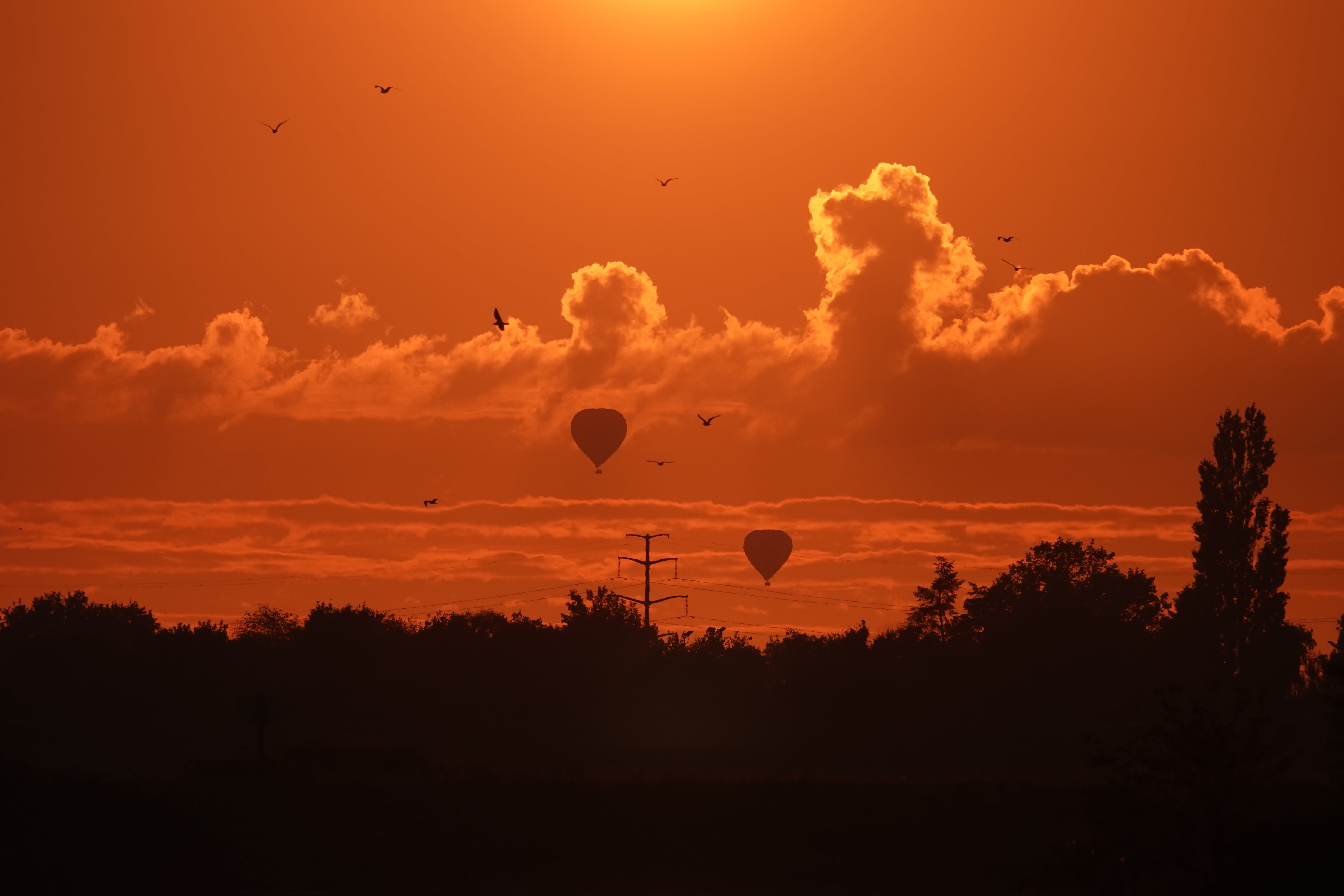 Vliegen tijdens zonsondergang na een zonnige dag. Foto: Corry van Daalen.