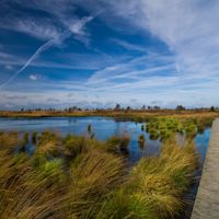 Wat zijn de gevolgen van droogte op veengebieden in België?