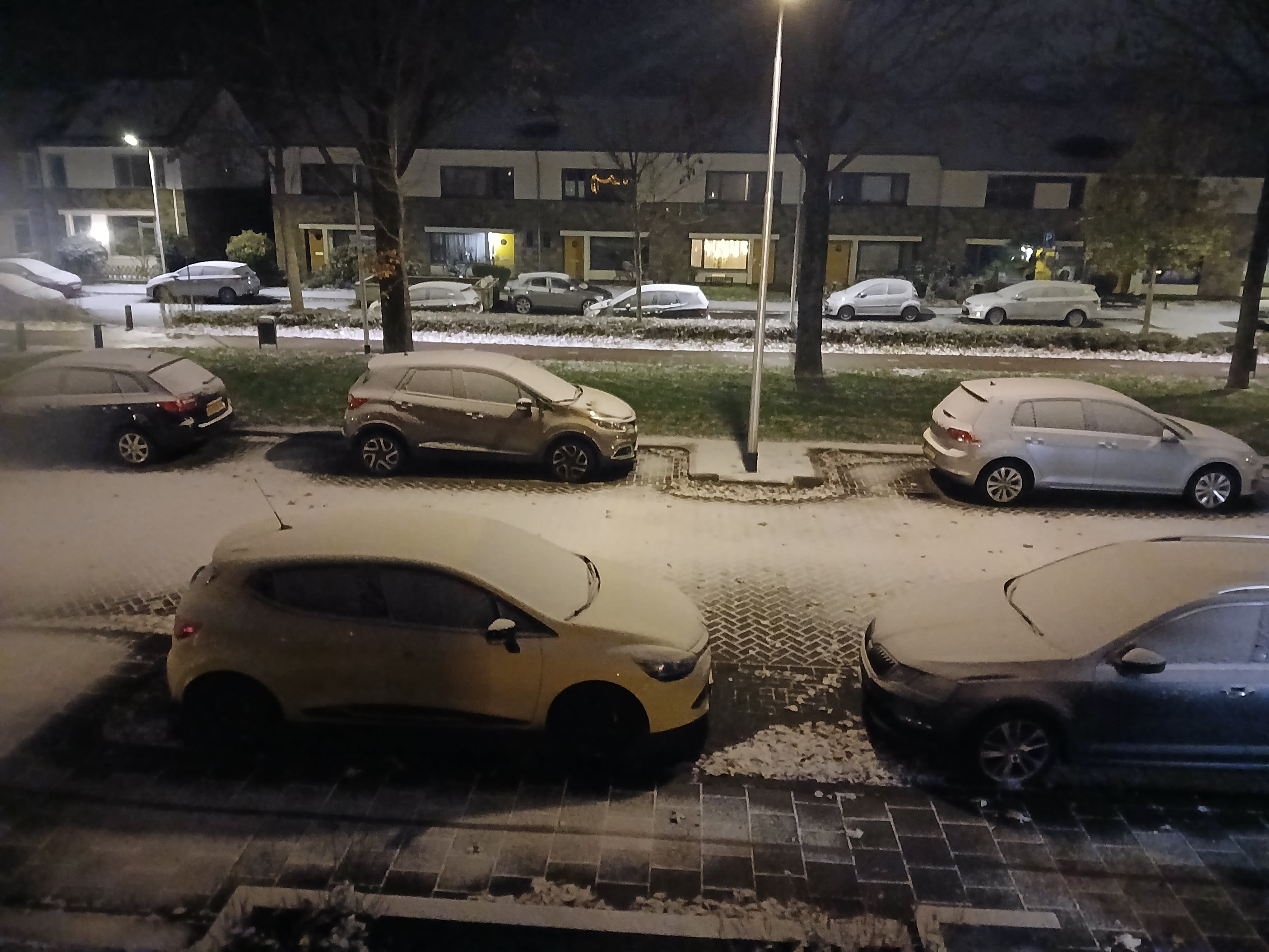 In de vroege ochtend kan de wereld tijdelijk wit zijn. Foto: Marc de Krom
