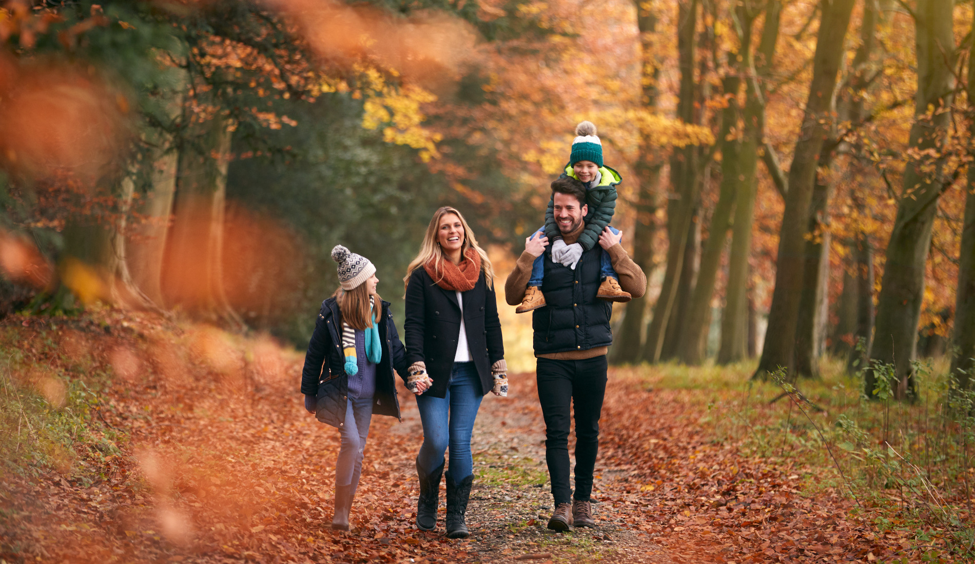 Dit zijn de mooiste bossen voor een herfstwandeling