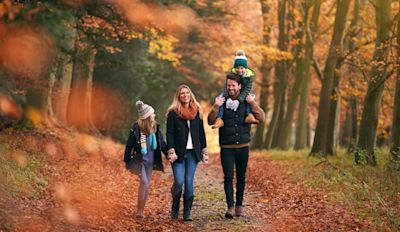 Dit zijn de mooiste bossen voor een herfstwandeling