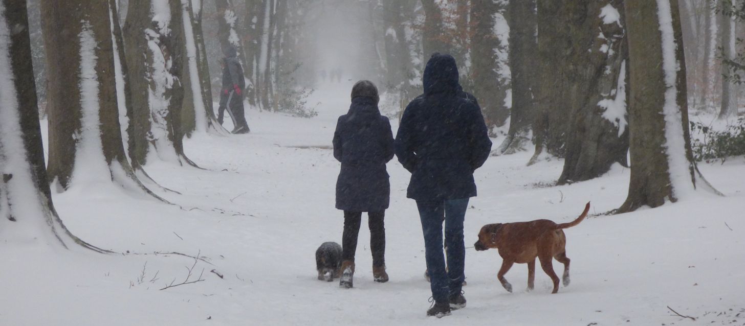 Sneeuw in Vaals op 8 maart. Foto: Chris Meeuwis