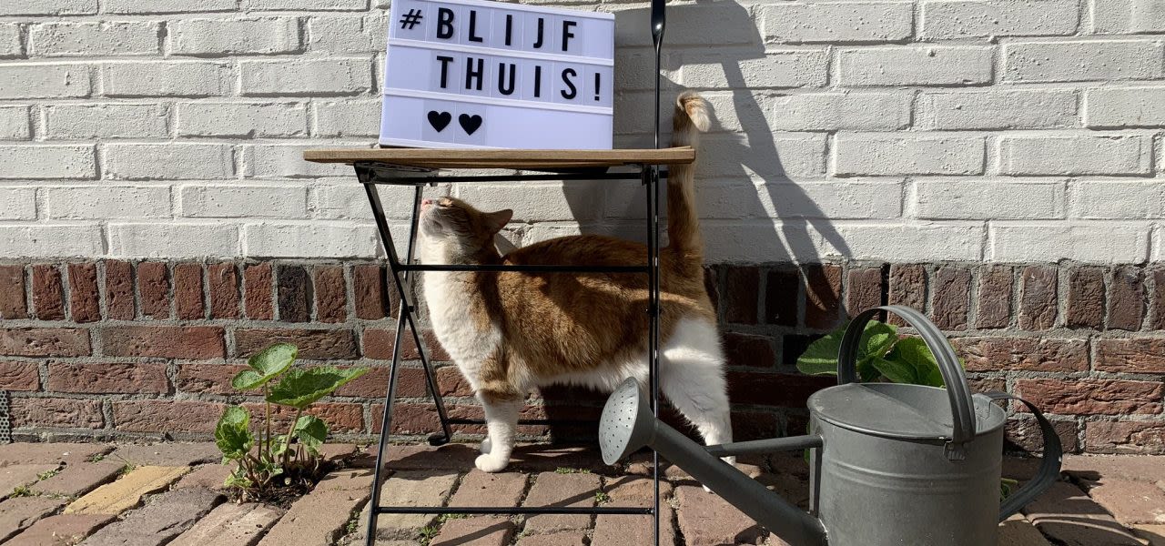 Zo warm wordt het vandaag en komende week