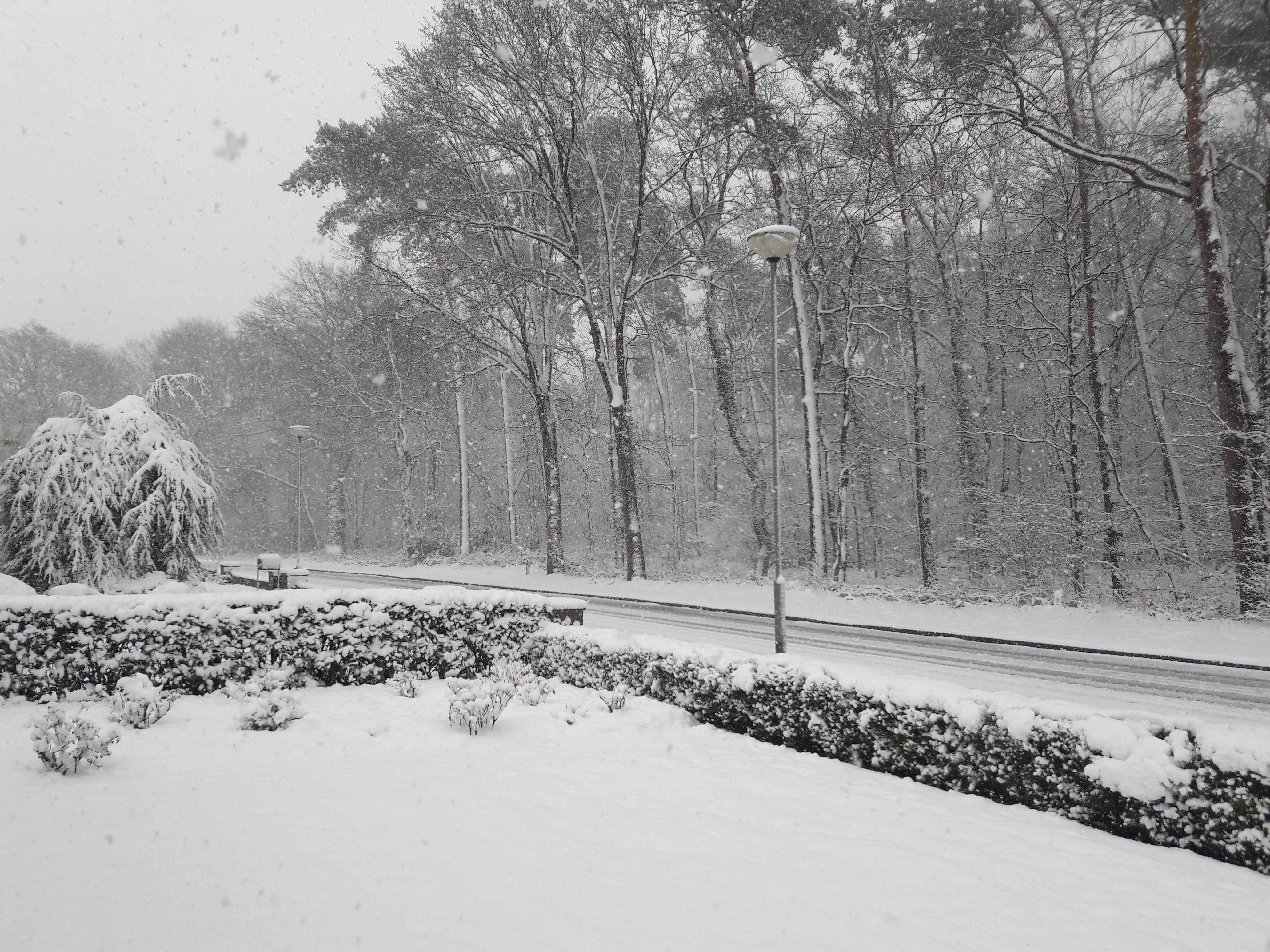 Veel sneeuw en sneeuwval op dag in april