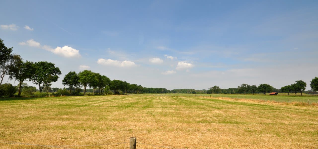Ben-Saanen-lente-2020-was-uitzonderlijk-droog-en-recordzonnig-verkleind-1280x600
