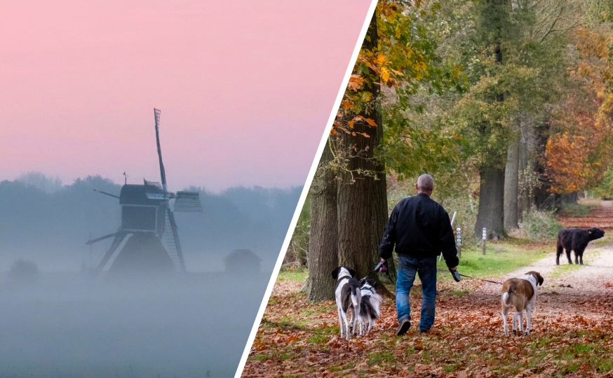 Maandverwachting: vaak droog en opnieuw zacht?