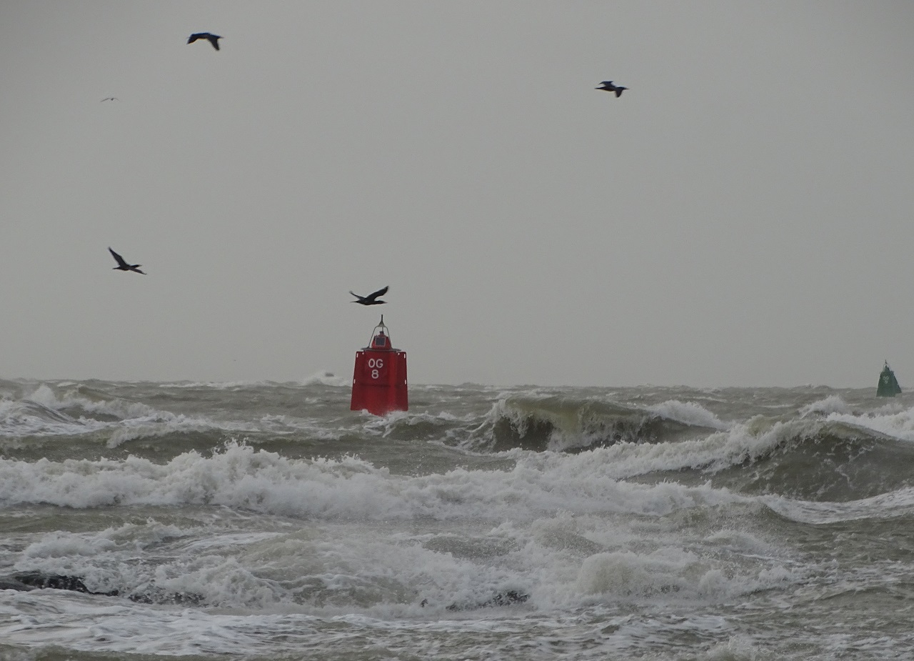 De laatste storm is alweer een jaar geleden. Foto: Hanneke Lucasse