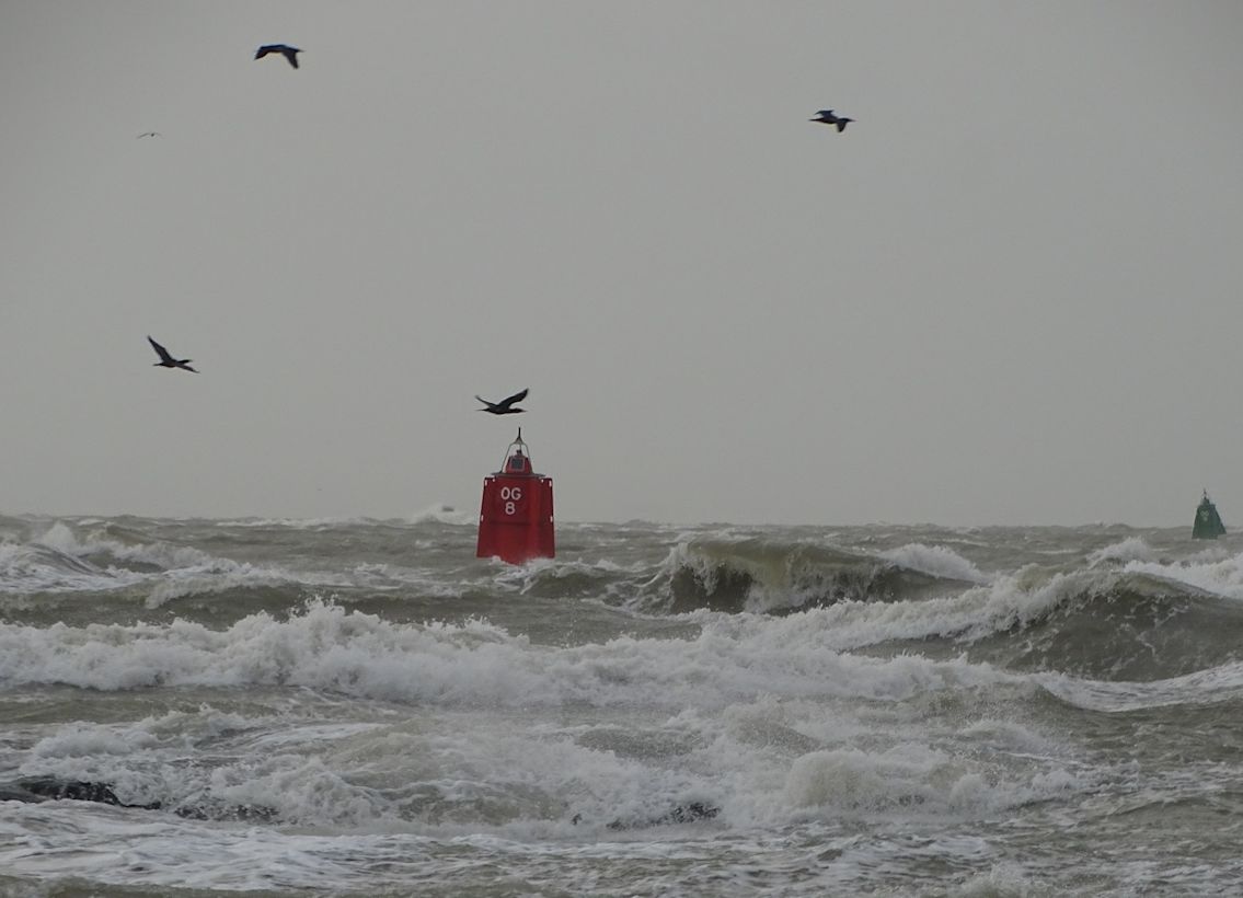 De laatste storm is alweer een jaar geleden. Foto: Hanneke Lucasse