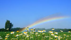 Juni 2025 behoort tot top 5 warmste junimaanden