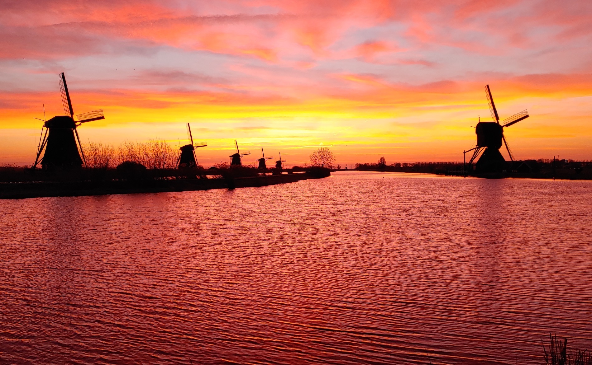 Zonsopkomst met Saharazand bij Kinderdijk, februari 2021. Foto: Johan Klos
