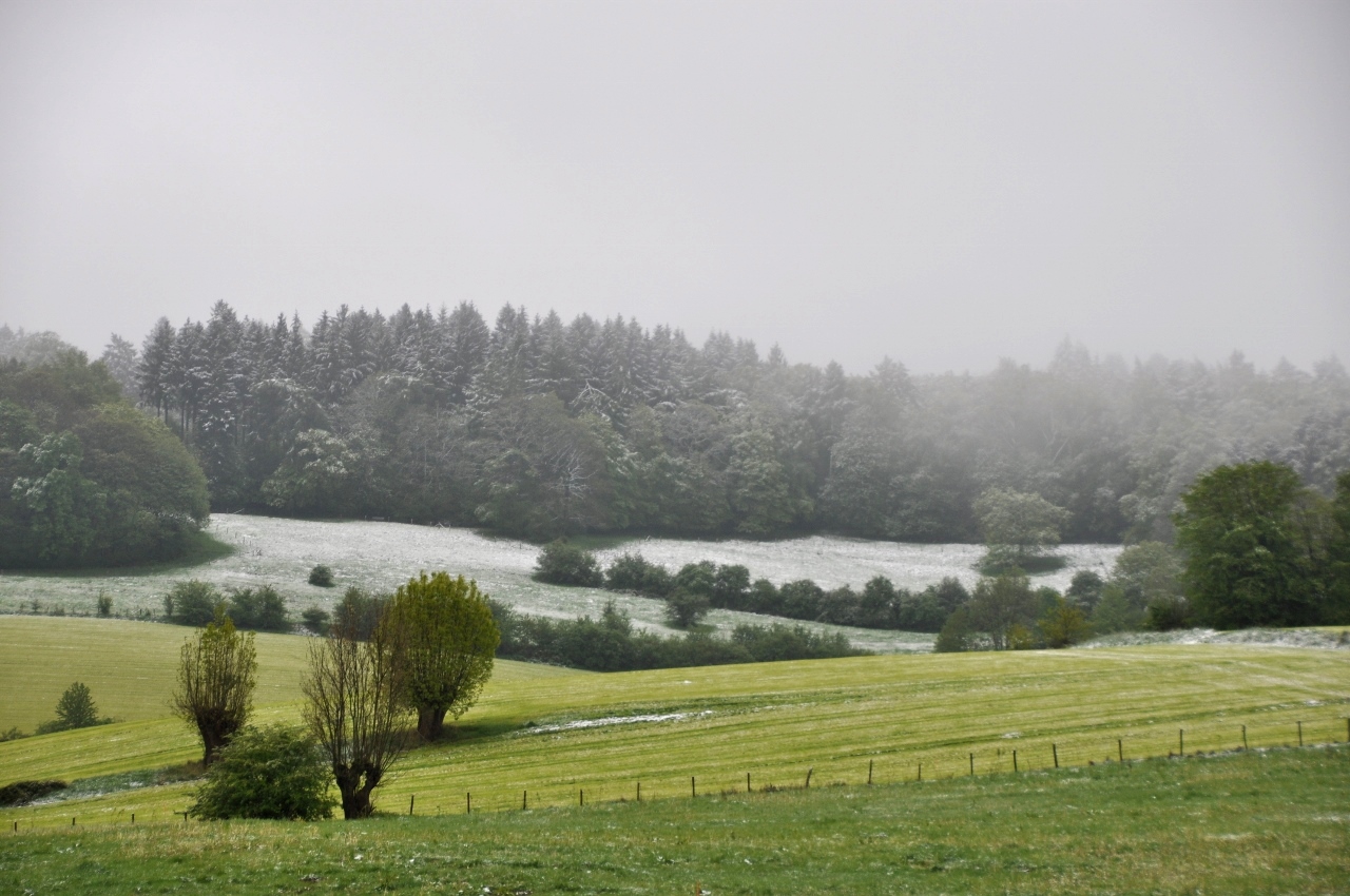 Sneeuw op Vaalserberg midden in de lente 4 mei 2019. Foto: Marina Nefkens