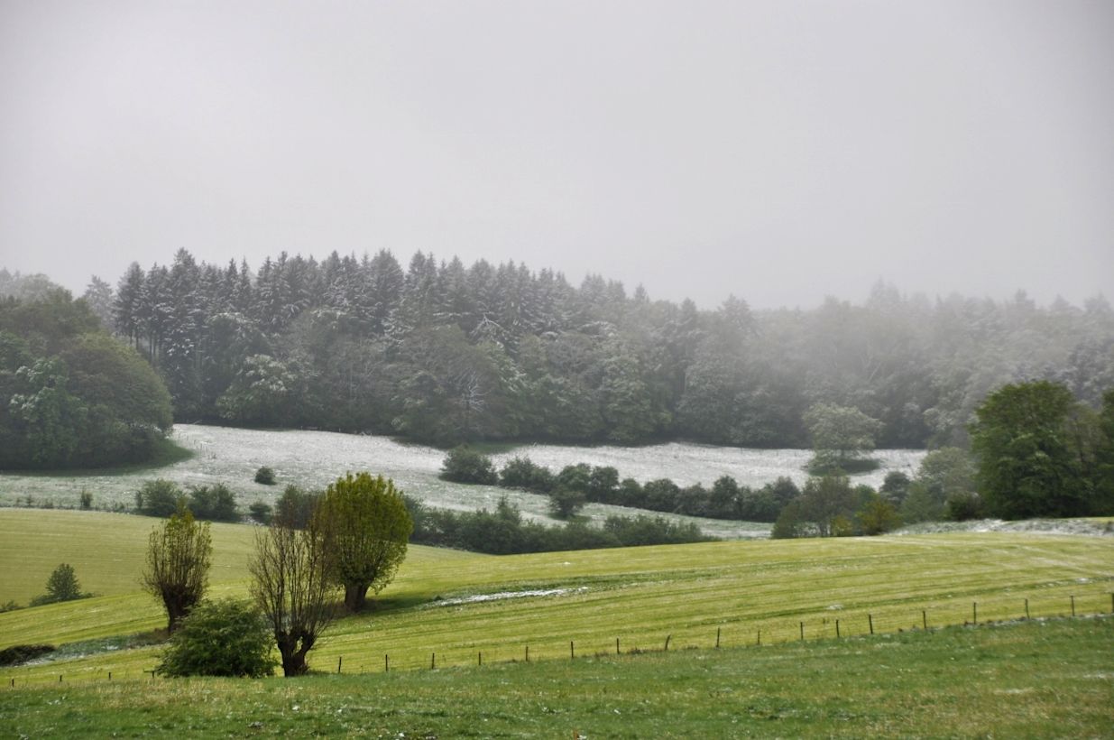 Sneeuw op Vaalserberg midden in de lente 4 mei 2019. Foto: Marina Nefkens