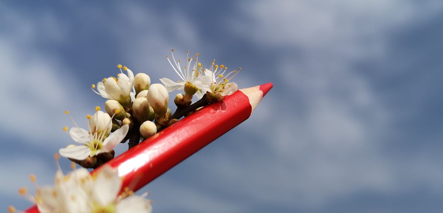 Kun je droog naar de stembus gaan? Foto: Rob Beckers