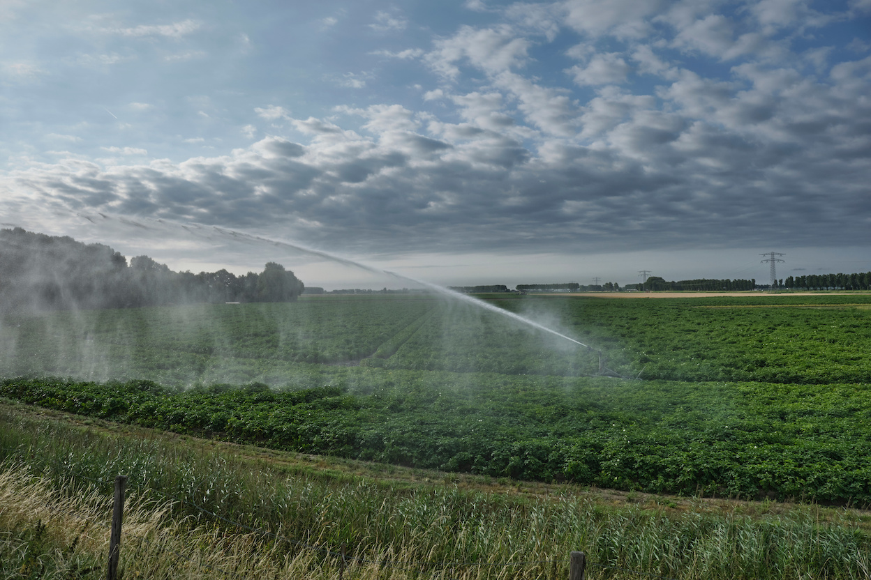 Beregeningssproeier op landbouwgrond. Foto: AdobeStock / Tjeerd