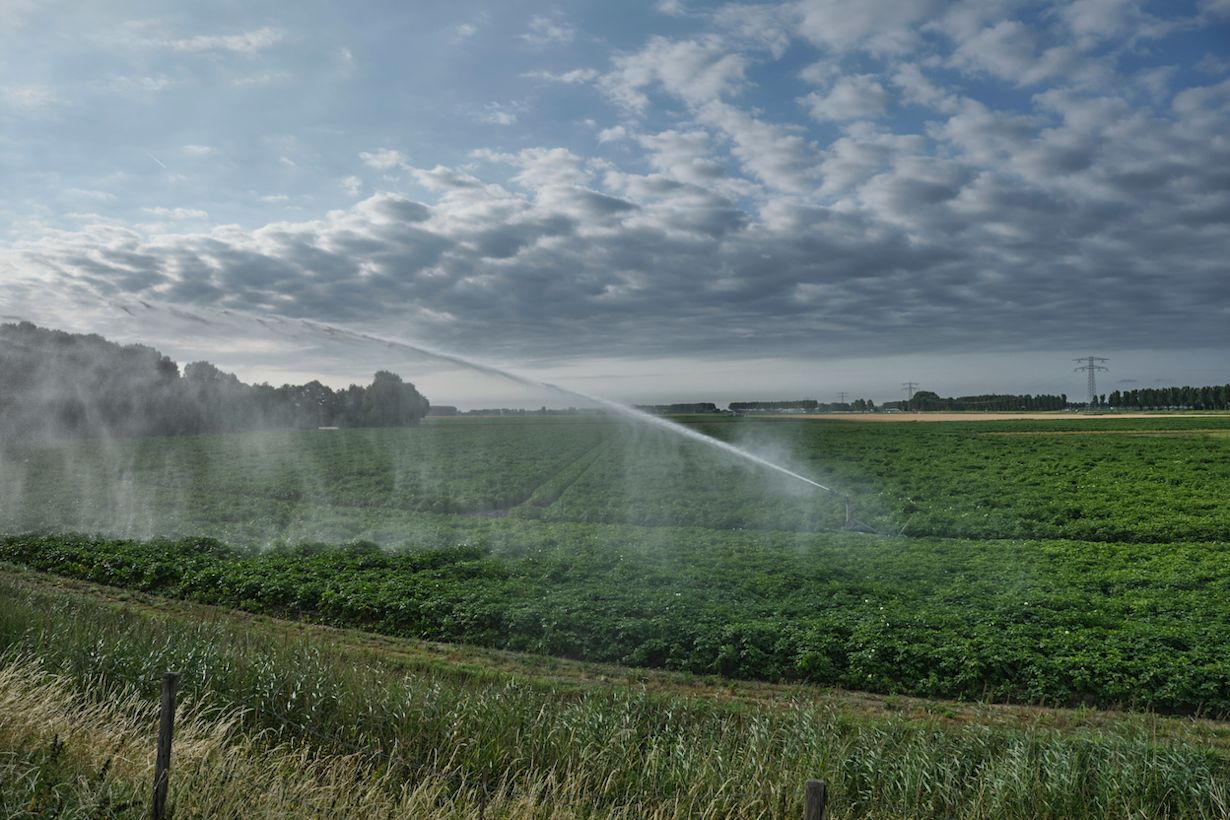 Beregeningssproeier op landbouwgrond. Foto: AdobeStock / Tjeerd