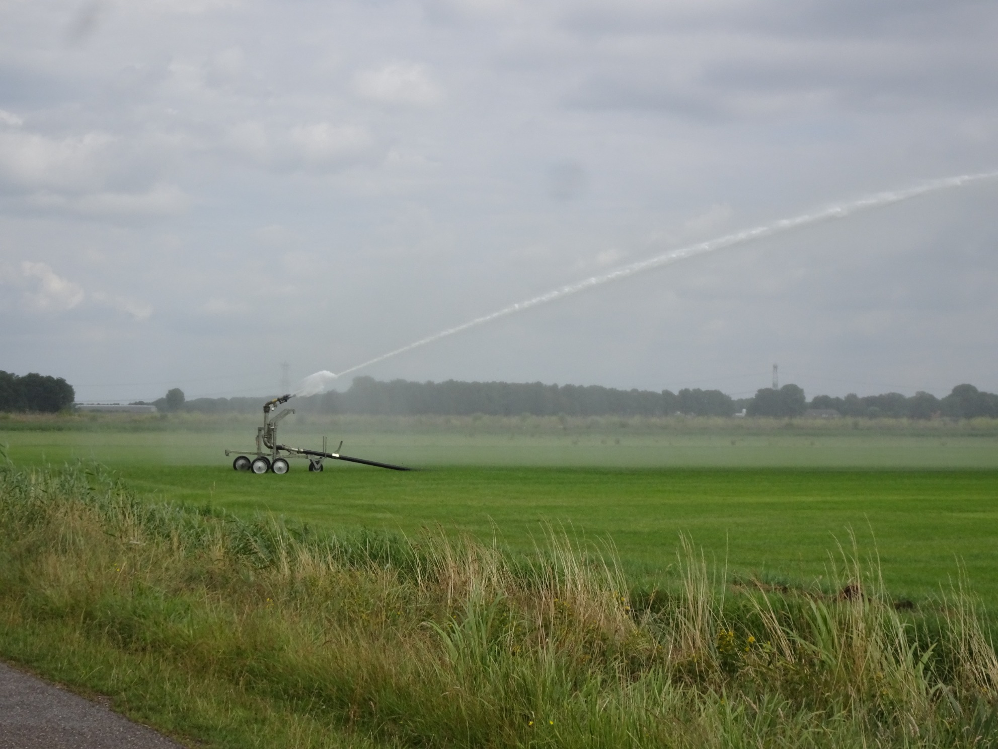 Er wordt door de droogte flink gesproeid. Foto: Gerard van Vugt