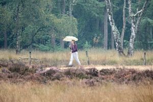 Vijfde regionale hittegolf voorbij