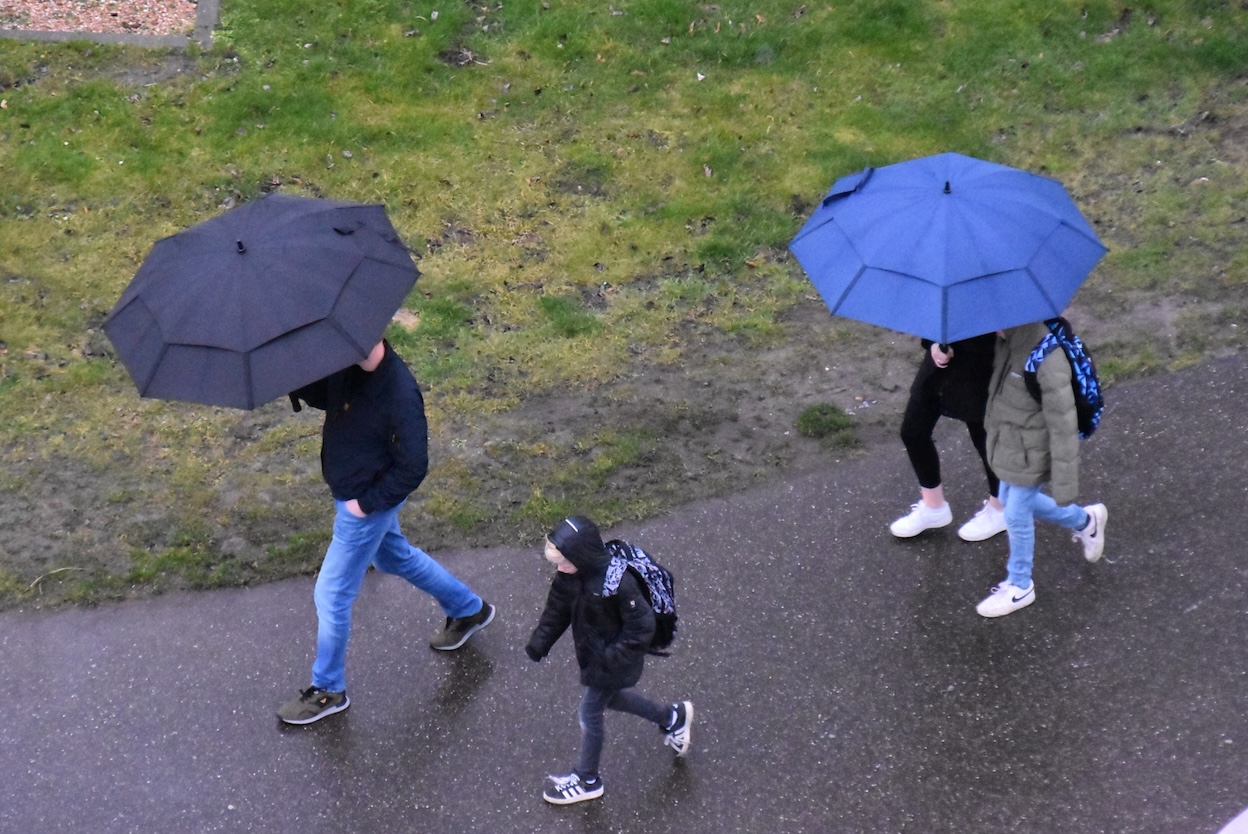 Weekverwachting: zachter na winters weekend