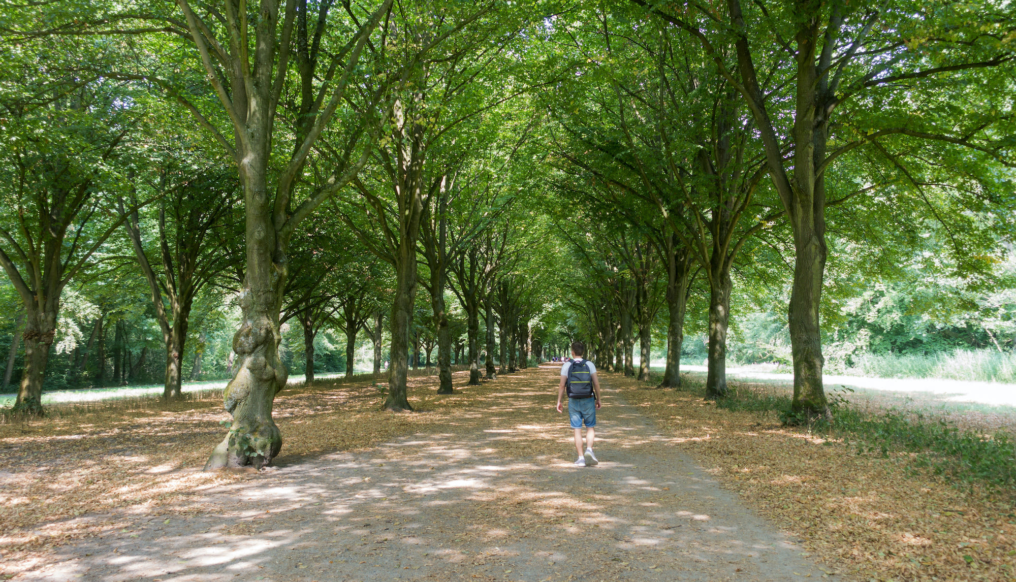 Wandelen in park met veel schaduw door bomen in Amsterdam. Foto: Adobe Stock / oksanahappy