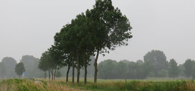 Zomerweer_Regen-z_Wo_28_Juni_2017_Jannes_Wiersema_027-e1567520786794