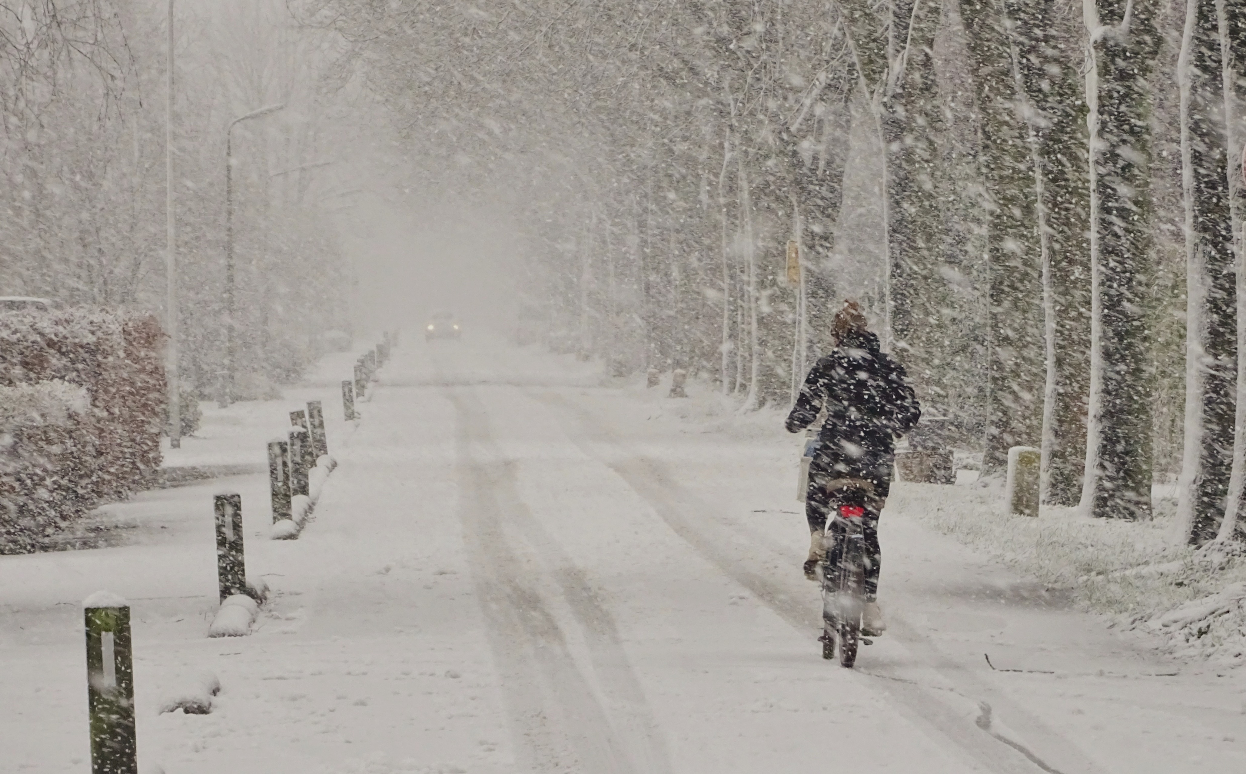 Maandverwachting januari: een winterse maand met sneeuwkansen?