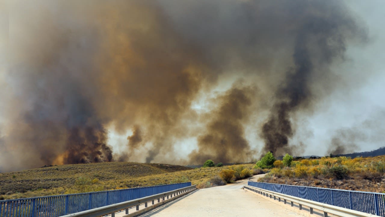 Bosbrand bij Los Gallardos in Zuid-Spanje. Foto: AdobeStock / Arafat