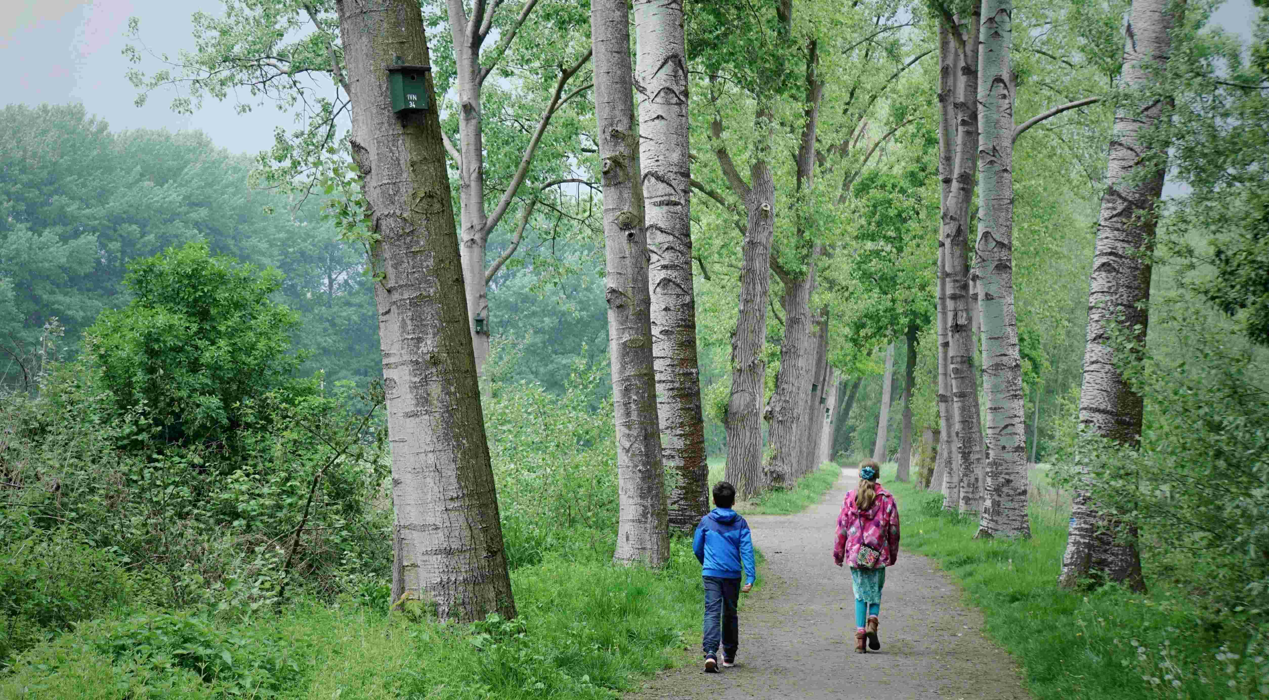 Wandelen in het bos. Foto: Marinette Raaijmakers
