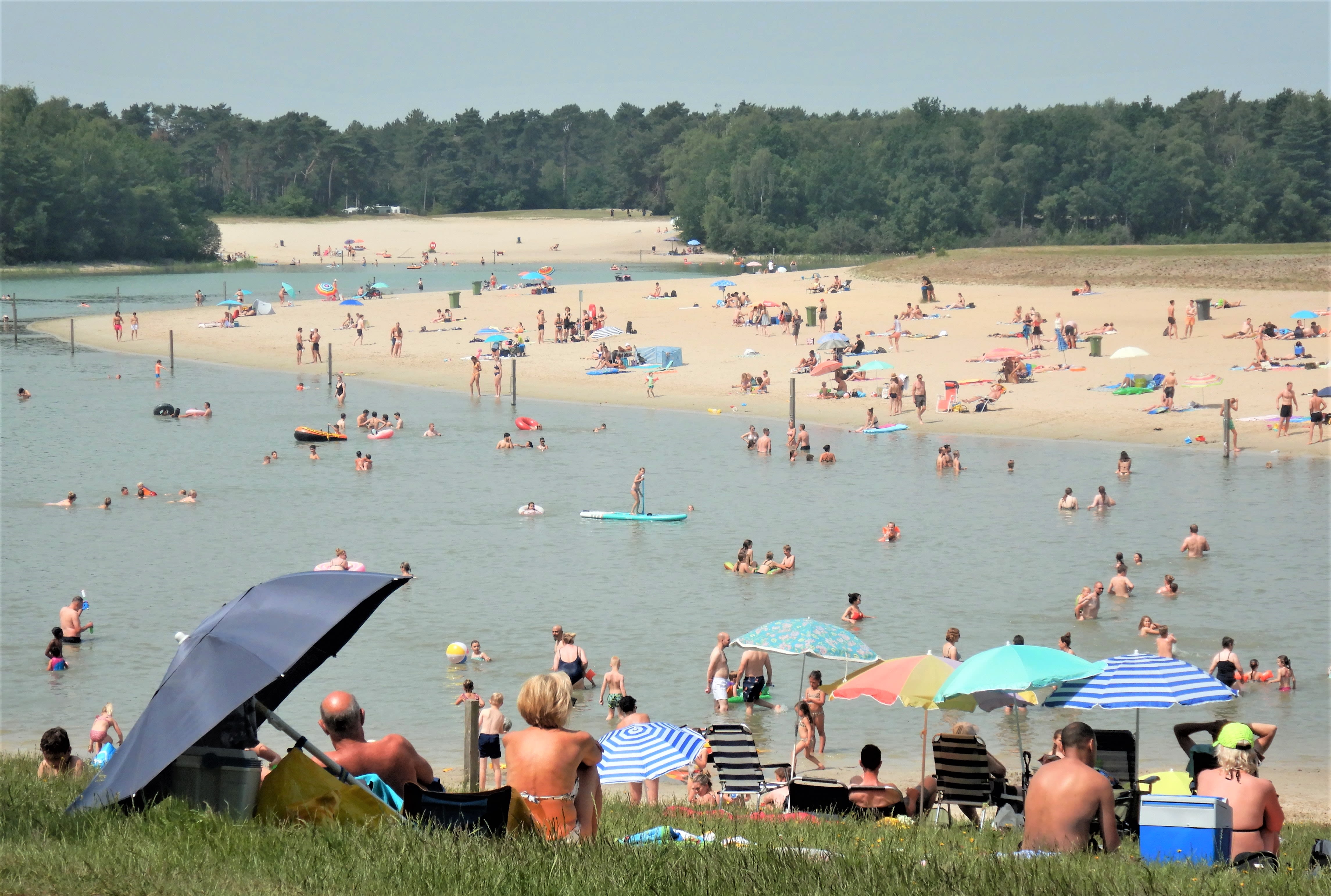 Zwemmen op een hete zomerdag. Foto: Paul Hermans