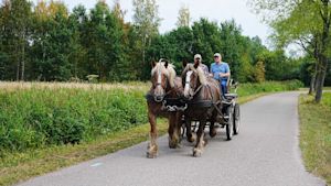 Weekendweer: hoe groot is de kans op buien?